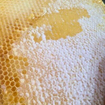 Blog-Light-Honey capped raw honey