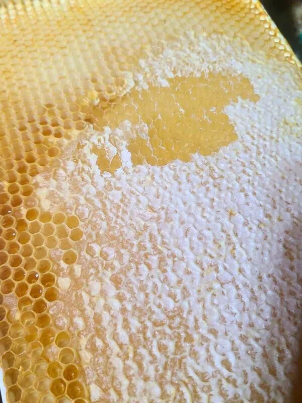 capped raw honey