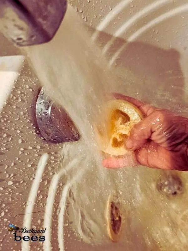 Foot Loofah Shower Time Natural honey loofah foot soap in shower
