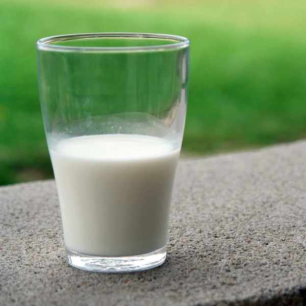 glass of fresh goat milk