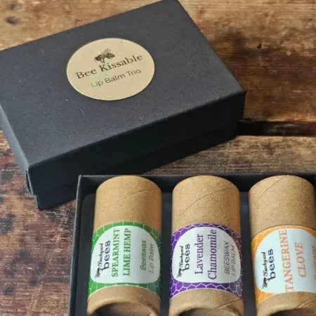 open black box with 3 chunky beeswax lip balms by Backyard Bees in kraft paper tubes