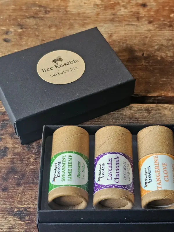 open black box with 3 chunky beeswax lip balms by Backyard Bees in kraft paper tubes