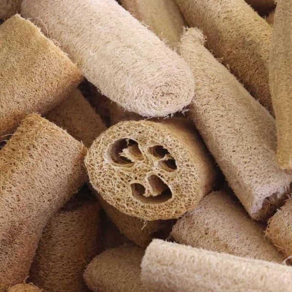 Loofah Honey Loofah Soap - for sweet, soft skin