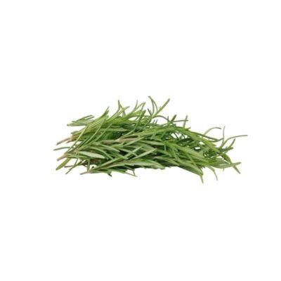 fresh rosemary leaves in a pile