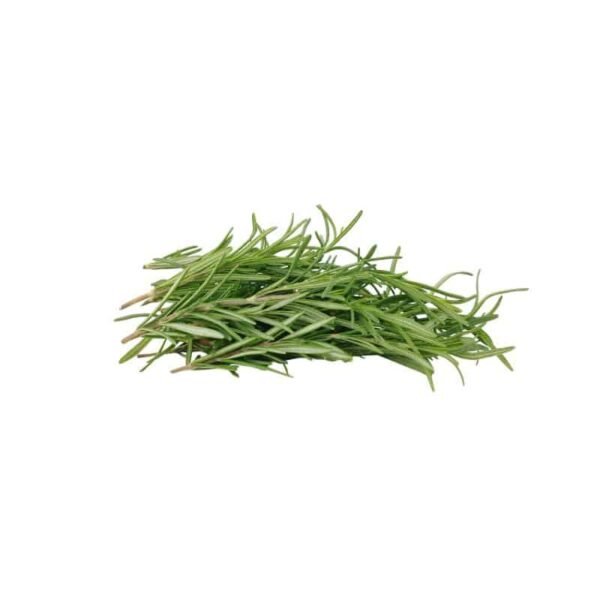 Rosemary fresh rosemary leaves in a pile