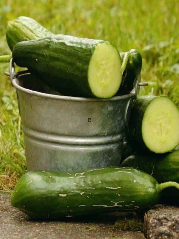 Cucumber Aloe Soap - cool and refreshing