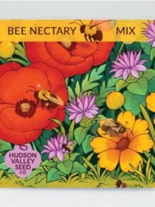 Package of Bee Nectary Bee Garden Seeds with brightly colored drawings of flowers