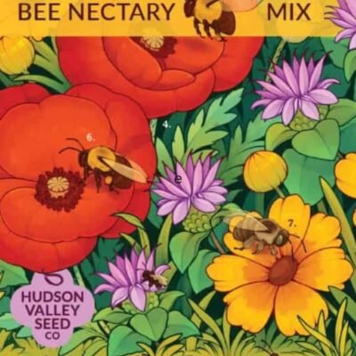 Package of Bee Nectary Bee Garden Seeds with brightly colored drawings of flowers
