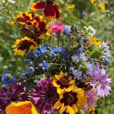 fresh bouquet of flowers from bee garden seeds