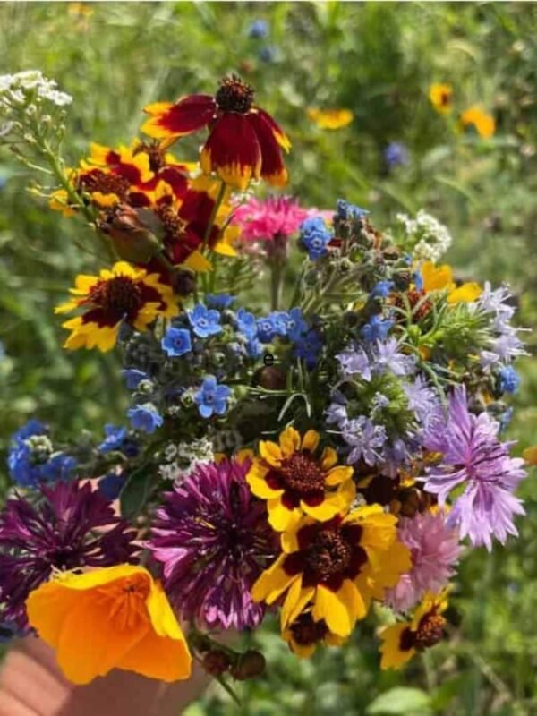 fresh bouquet of flowers from bee garden seeds