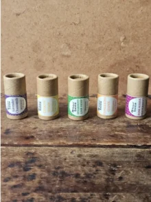 Five Backyard Bees chunky beeswax lip balms in paper tubes: Lavender Chamomile, Citrus Hemp, Spearmint Lime Hemp, Tangerine Clove and Rose Kisses Peppermint.