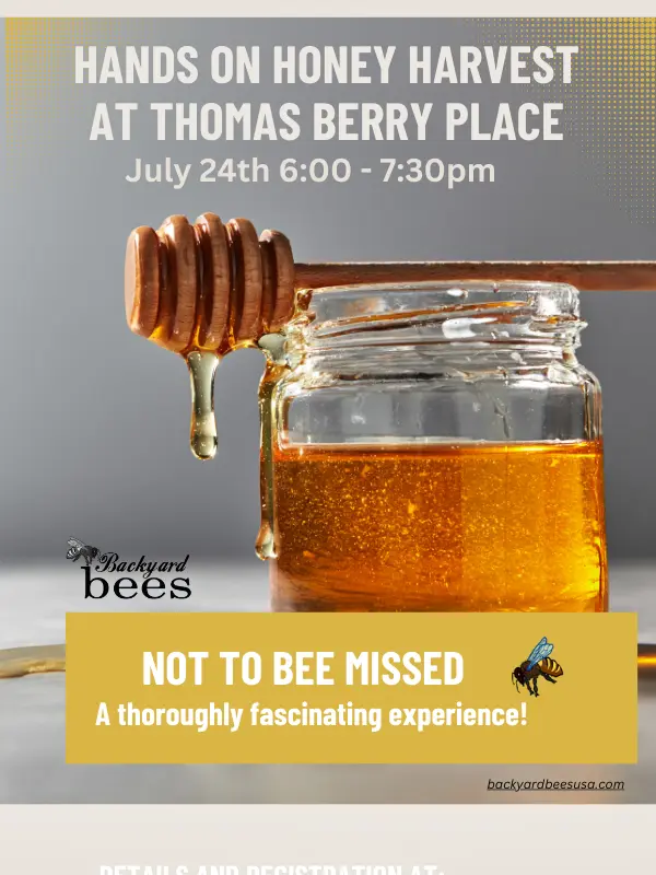 Hands On Honey Harvesting