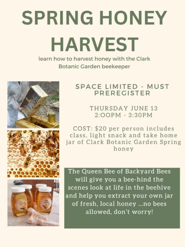 details of honey harvesting extraction class