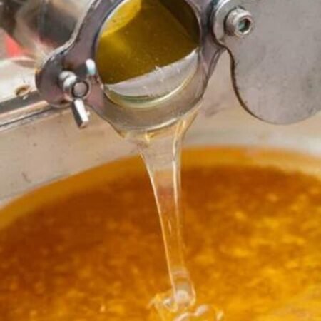 Honey-Extraction golden honey dripping from extractor