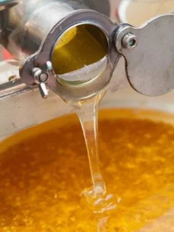 golden honey dripping from extractor