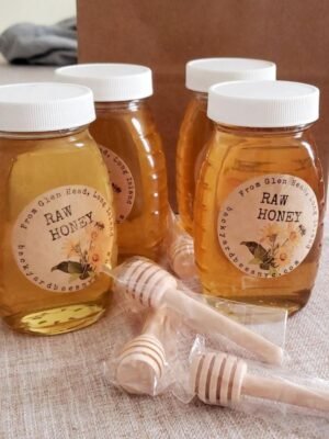 jarred Backyard Bees honey