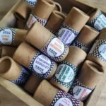 tray of various Backyard Bees beeswax lip balms in paper tubes