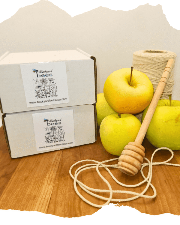 Two Rosh Hashanah honey gift boxes, apples, honey dipper, twine.