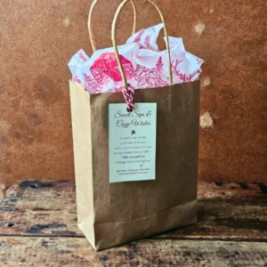 Holiday Take Tea & See gift in a kraft bag with red-and-white holiday tissue and a Sweet Sips & Cozy Wishes tag.