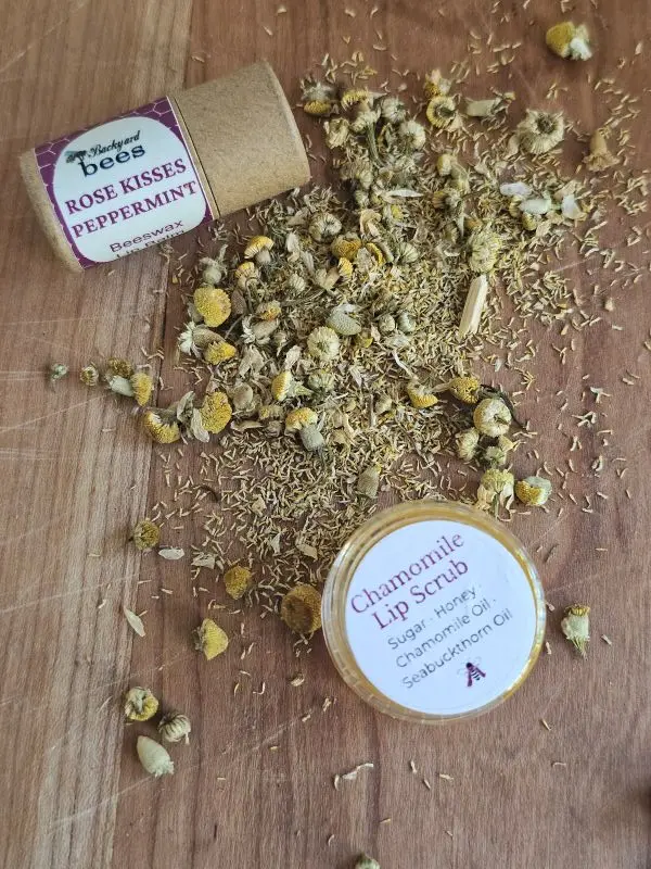 Lip-Scrub-Open Plastic free Rose Kisses Lip balm, dried chamomile and Honey Chamomile Lip balm on rustic wooden board