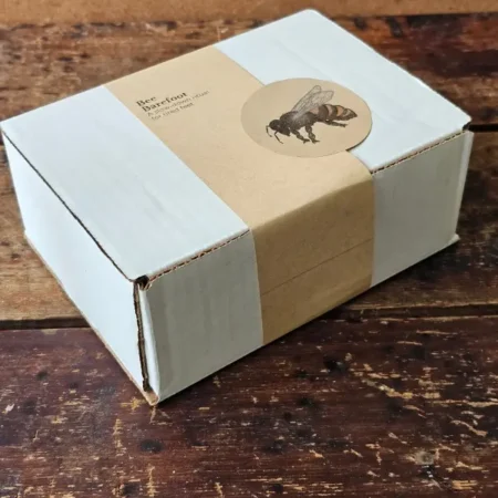 (20260930_135734.jpg) Closed Bee Barefoot gift box with kraft band, printed title, and bee seal