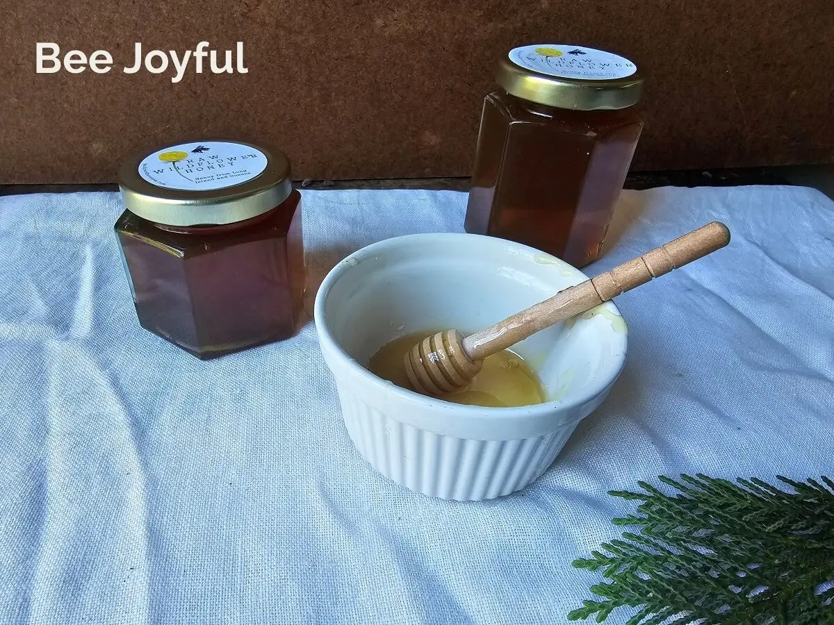 Raw local honey gifts by Backyard Bees