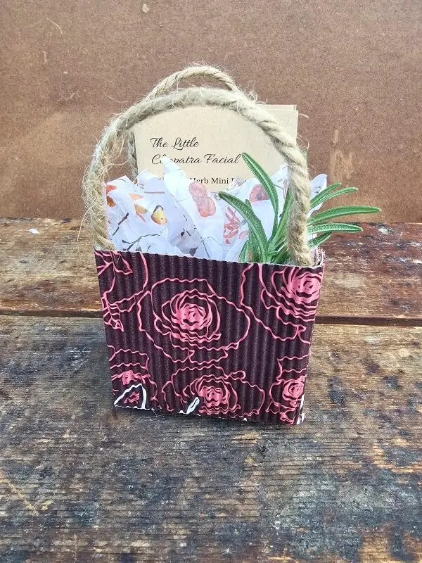 Hand-wrapped mini Cleopatra honey facial kit with booklet and tissue wrap