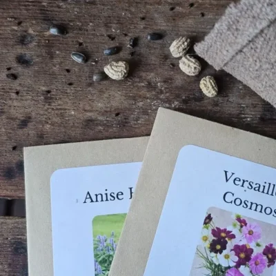 Bee Seeds Close Up Bee-friendly flower seed packets with planting information