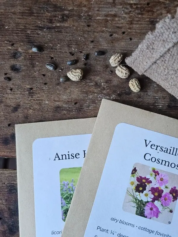 Bee Seeds Close Up Bee-friendly flower seed packets with planting information