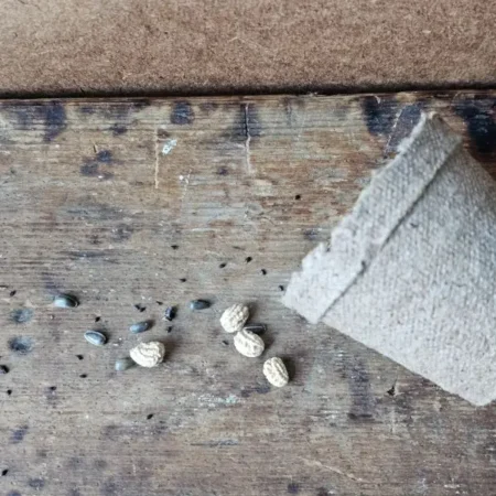 Bee Seeds Closeup Pot Pollinator flower seeds with biodegradable paper pot