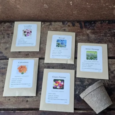Bee Seeds Full Lay The Bee Seeds pollinator-friendly flower seed packets laid out on wooden surface