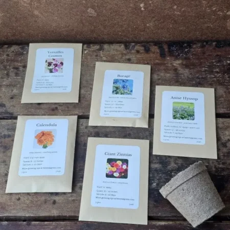 Bee Seeds Full Lay The Bee Seeds pollinator-friendly flower seed packets laid out on wooden surface