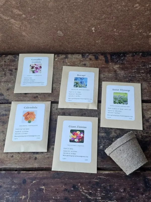 Bee Seeds Full Lay The Bee Seeds pollinator-friendly flower seed packets laid out on wooden surface