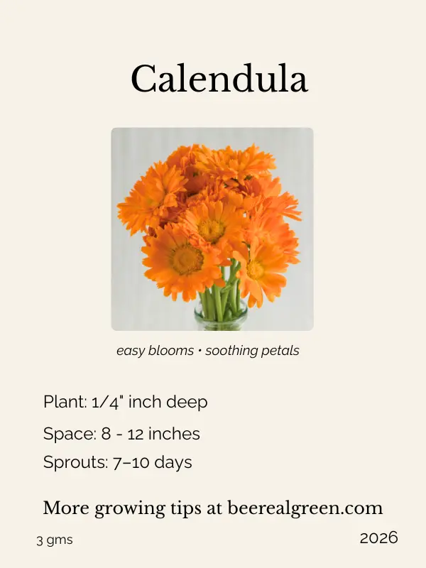 calendula seeds