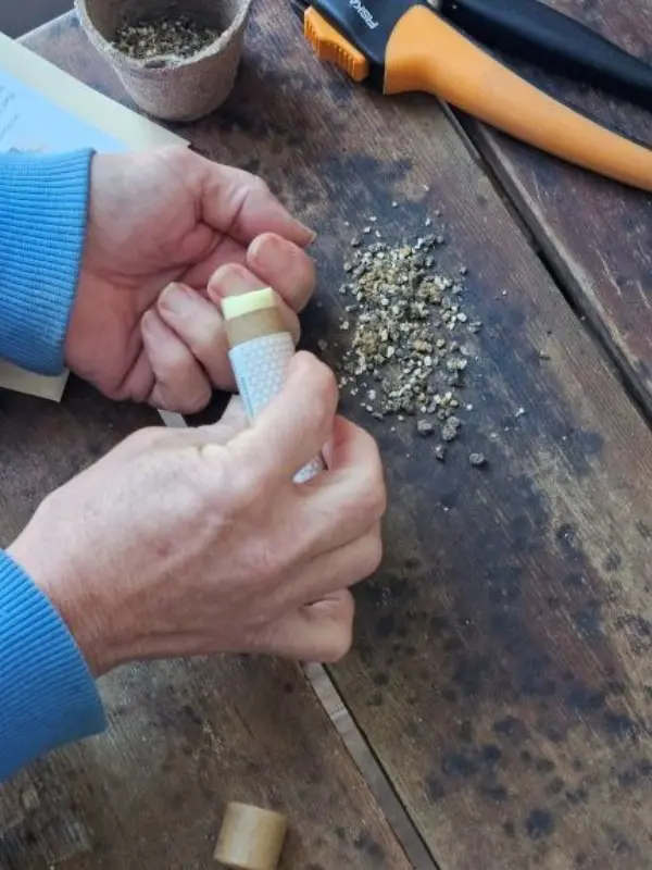 Applying Carrot Seed Cuticle Stick to dry hands after gardening