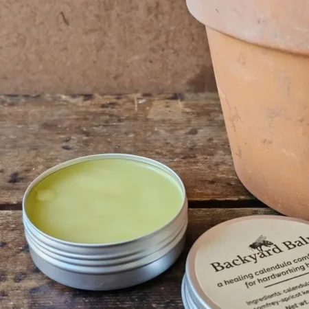 Backyard Balm Open Tin Open tin of Backyard Balm herbal salve made with calendula and comfrey in beeswax base