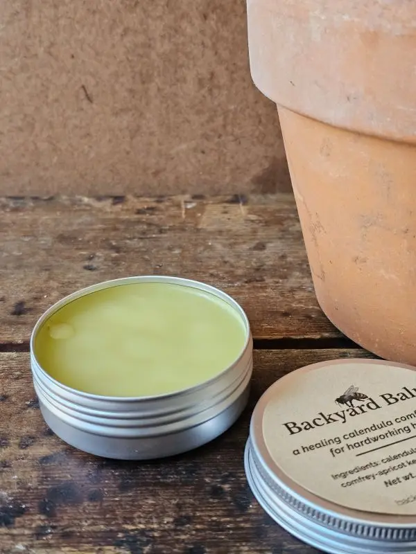 Backyard Balm Open Tin Open tin of Backyard Balm herbal salve made with calendula and comfrey in beeswax base