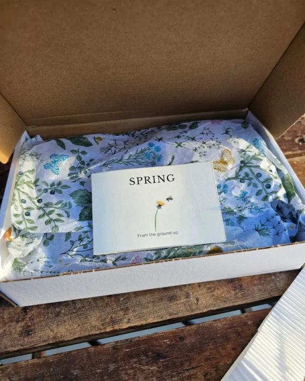 Spring skincare gift set with honey-based body scrub, foot balm, lip balm, and botanical packaging in an open box