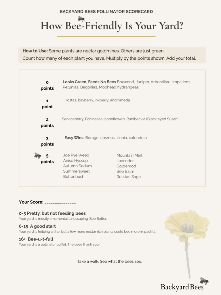 Backyard Bees Landscape Scorecard for bee-friendly gardens