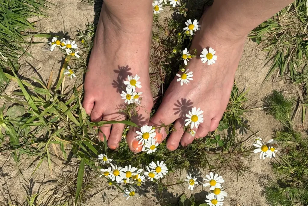 Ugly Feet Syndrome: Why We Hide Our Feet — And How To Feel Good About Them Again 2 Bare feet on grass with daisies – grounding and earthing benefits
