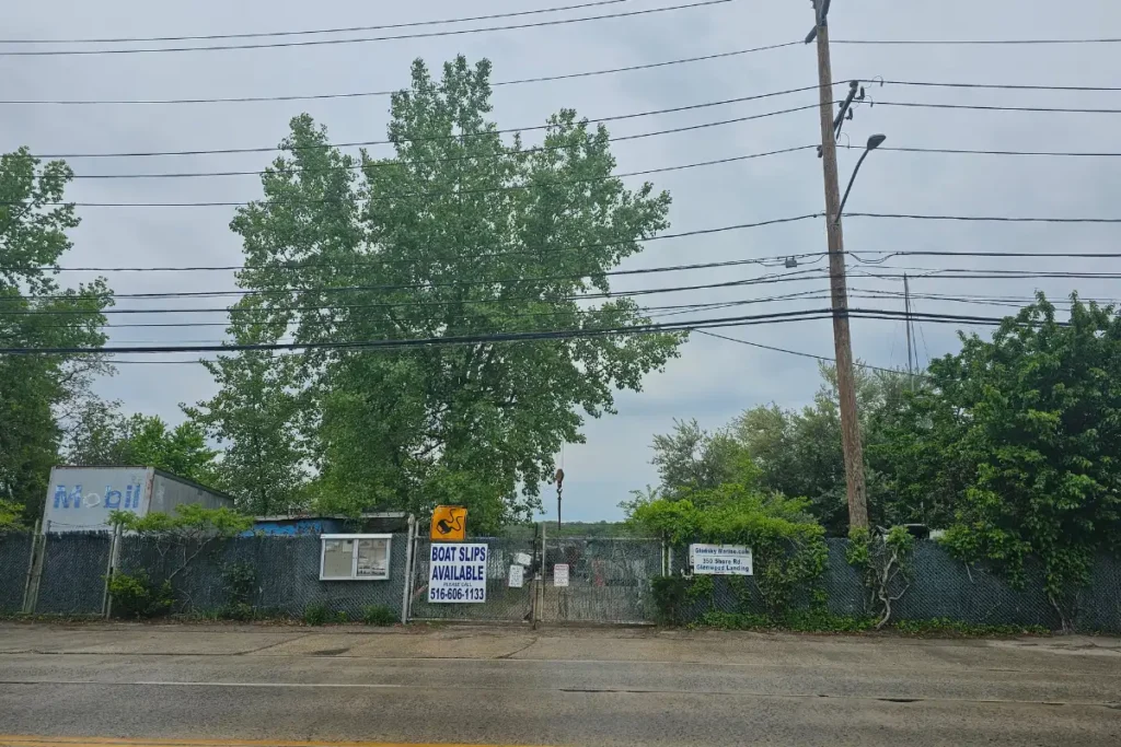 a towering Linden tree in industrial Gladsky Marine yard