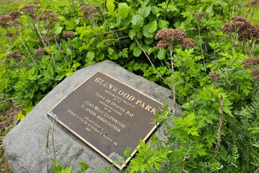 Glenwood Park landscaping example of coastal public spaces
