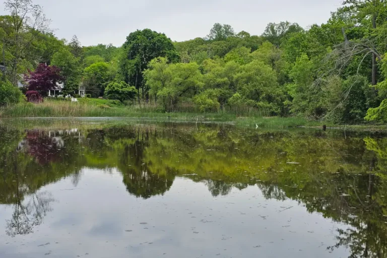 serene view of Scudders Pond on Shore Road