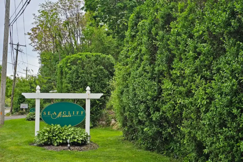 Approach to Sea Cliff Manor, beautifully landscaped hedges and sign
