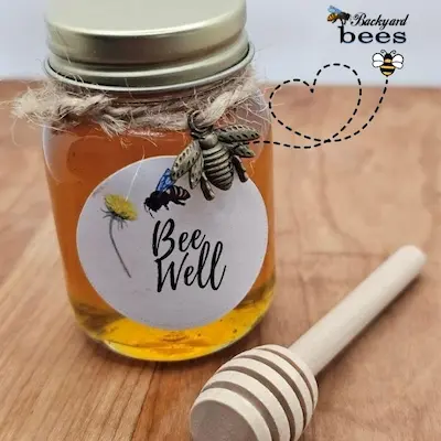 small jar of Backyard Bees honey wrapped in twine with honey dipper