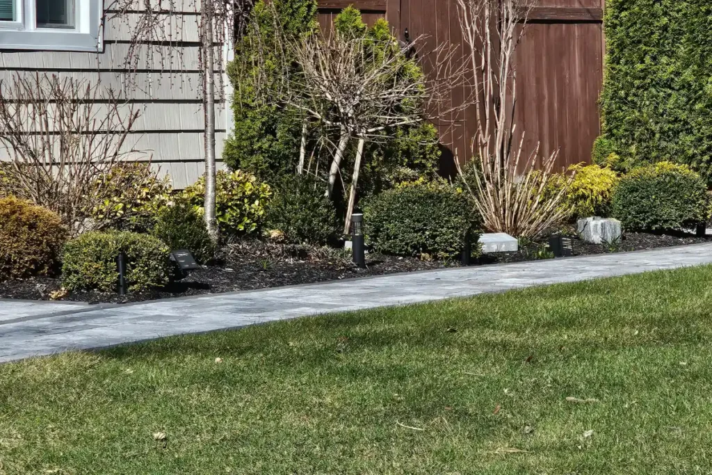 Tidy lawn and shrubs in winter