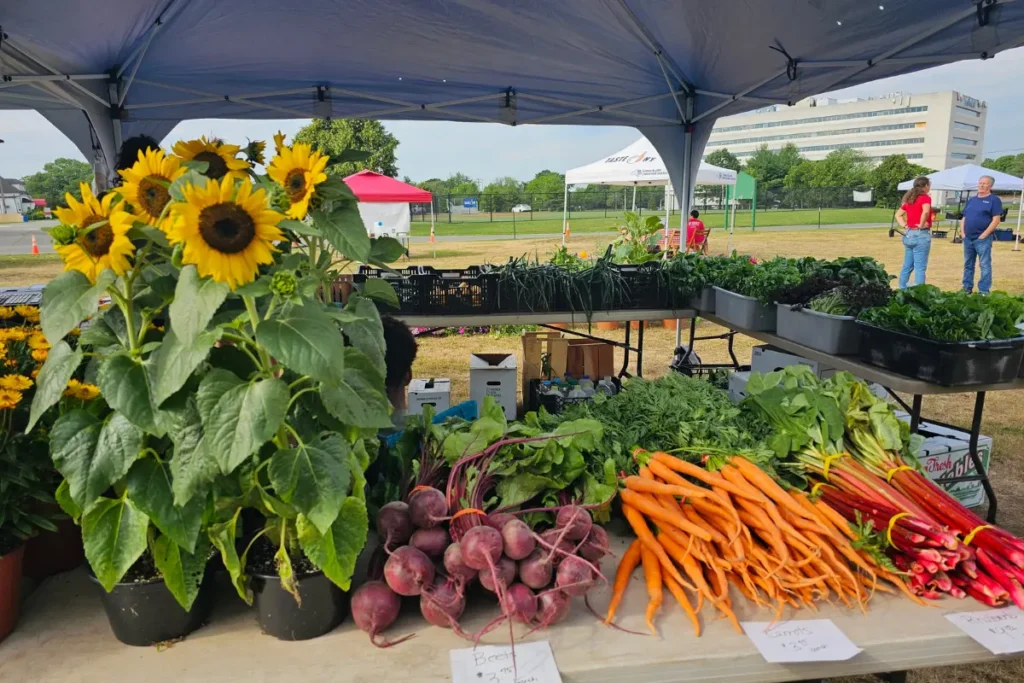 close up of fresh produce and sunflowers at the CCE Farmers Market at Eisenhower Park