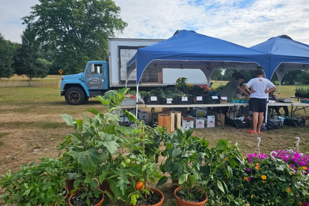 Setup of tents and plants at the farmers market