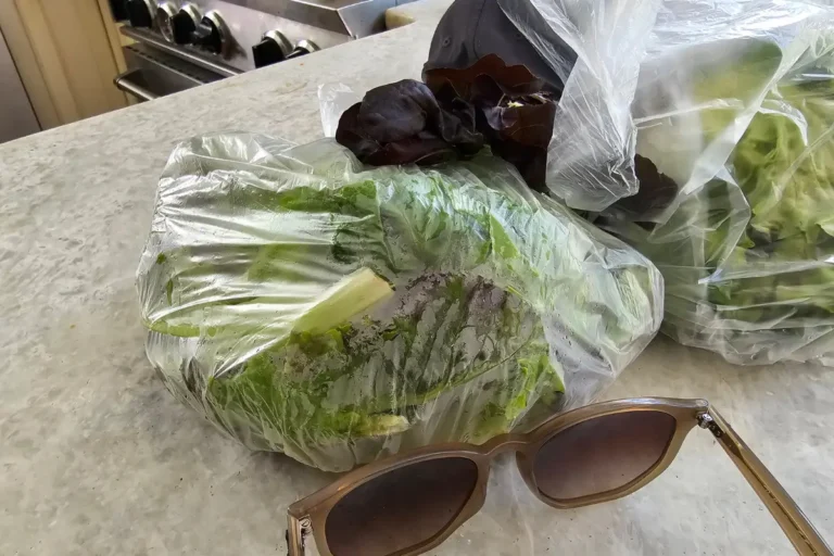 Lettuce and fresh greens from Two Brothers Farm came home with me after Opening Day at the Eisenhower Park Farmers Market.