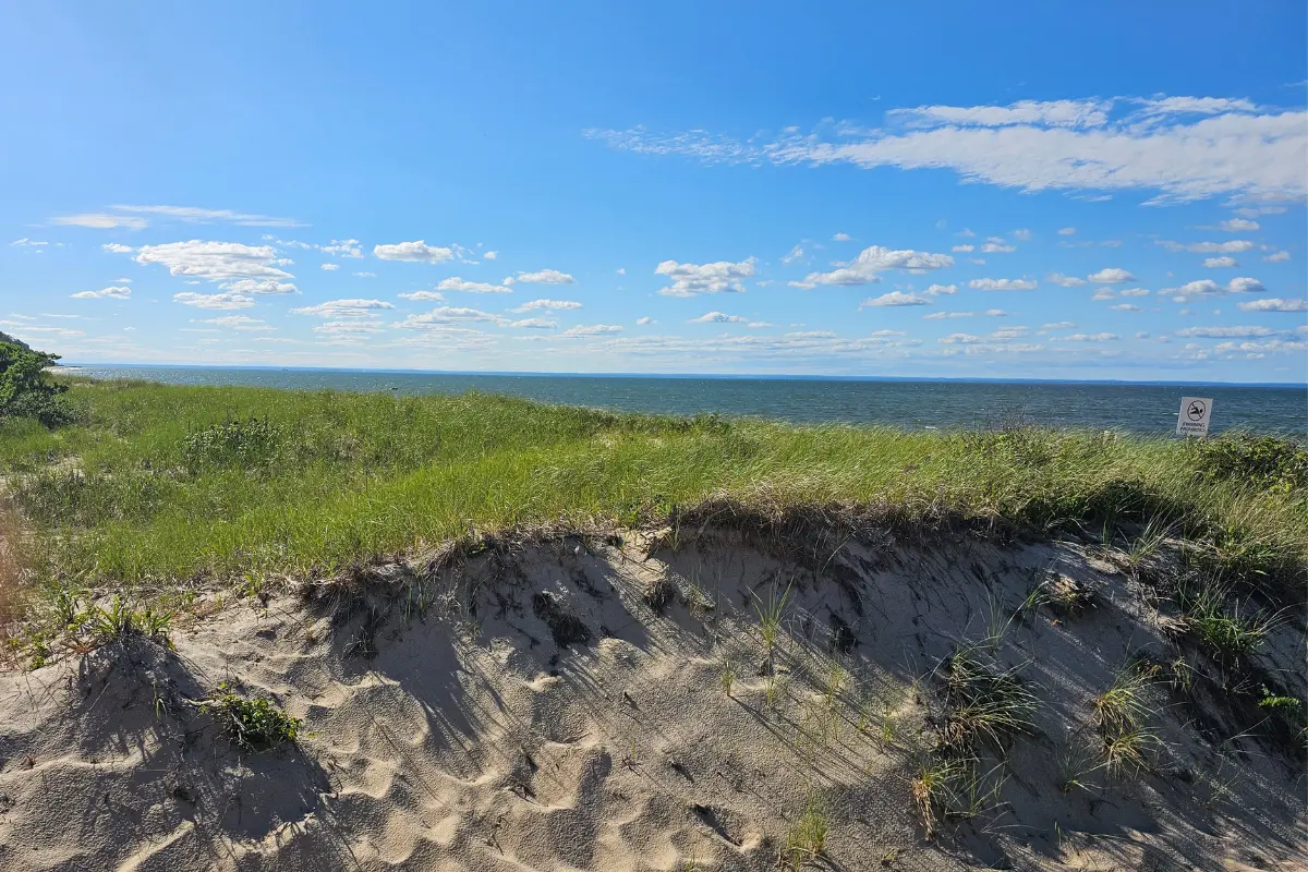 What A 10K At Sunken Meadow Taught Me About Bee Memory 1 Long Island Sound at Sunken Meadow State Park, where a beekeeper reflected on how honey bees use memory to navigate their world